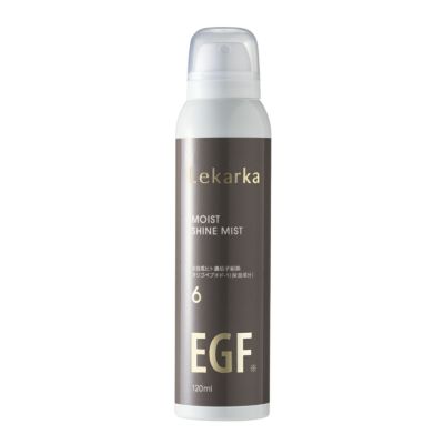 MOIST SHINE MIST 120mL(モイストシャインミスト)